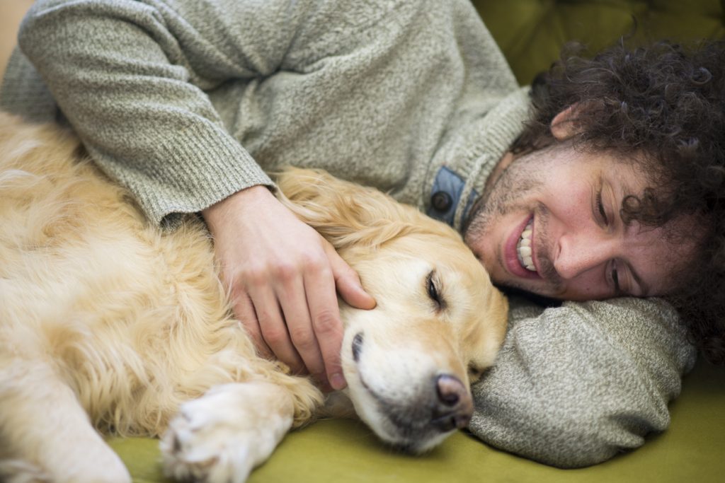Uncover the Top 10 Most Cuddly Dog Breeds Ultimate Guide