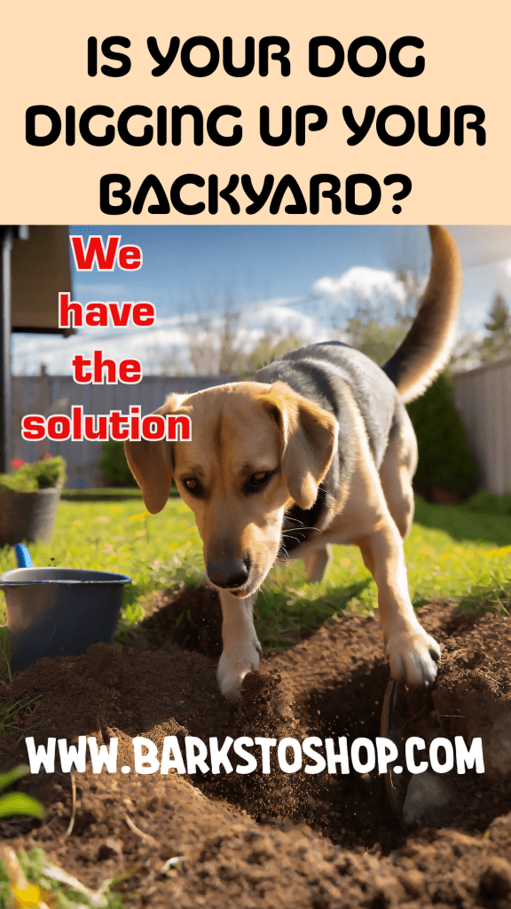 Behavior Management Dogs Digging Holes Strategies