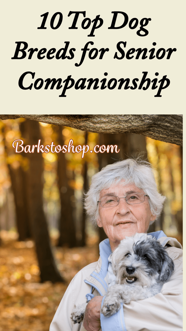 Discover the Top Ten Dog Breeds for Senior Companions - BarksToShop