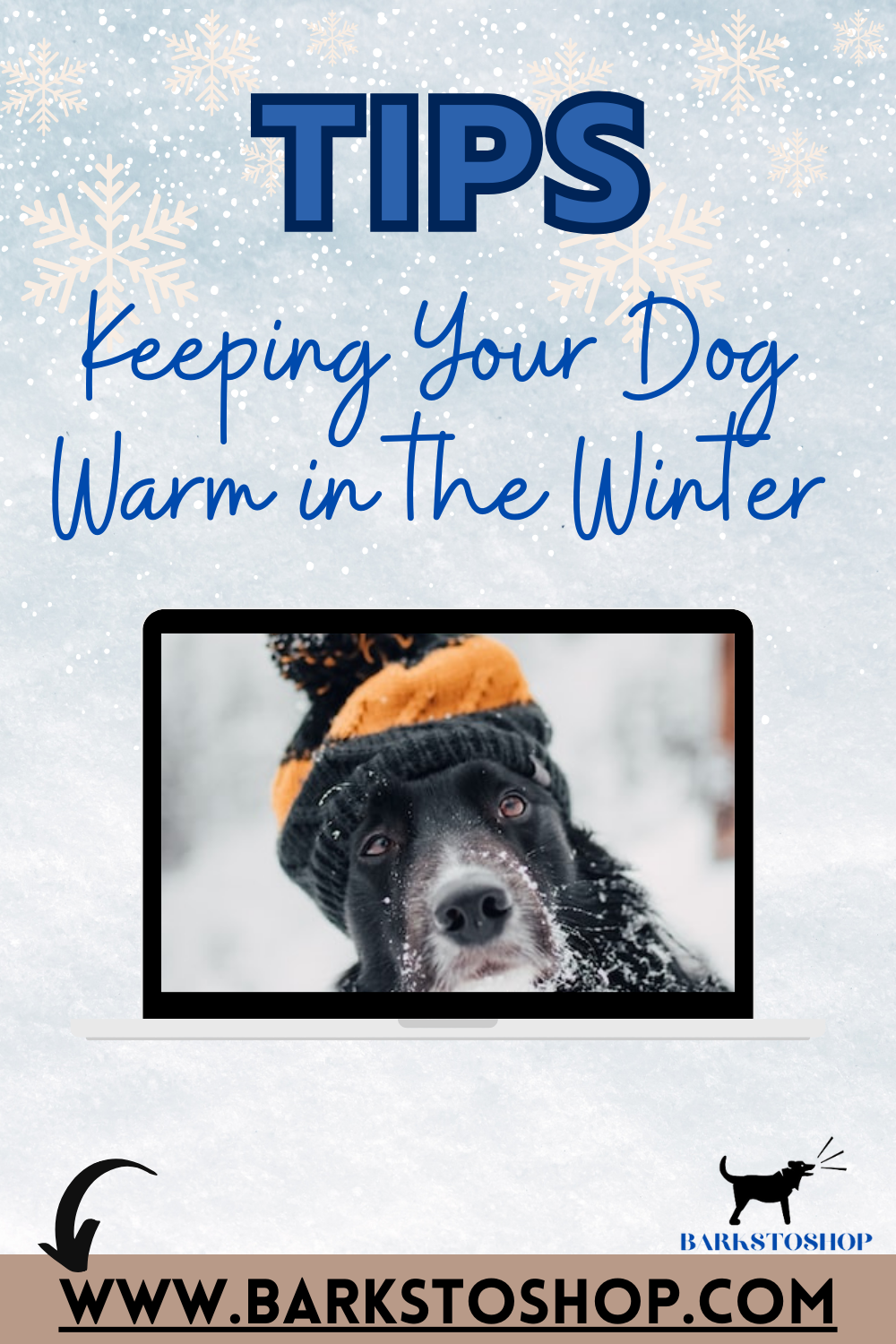 Essential Tips for Keeping Dog Warm in Winter