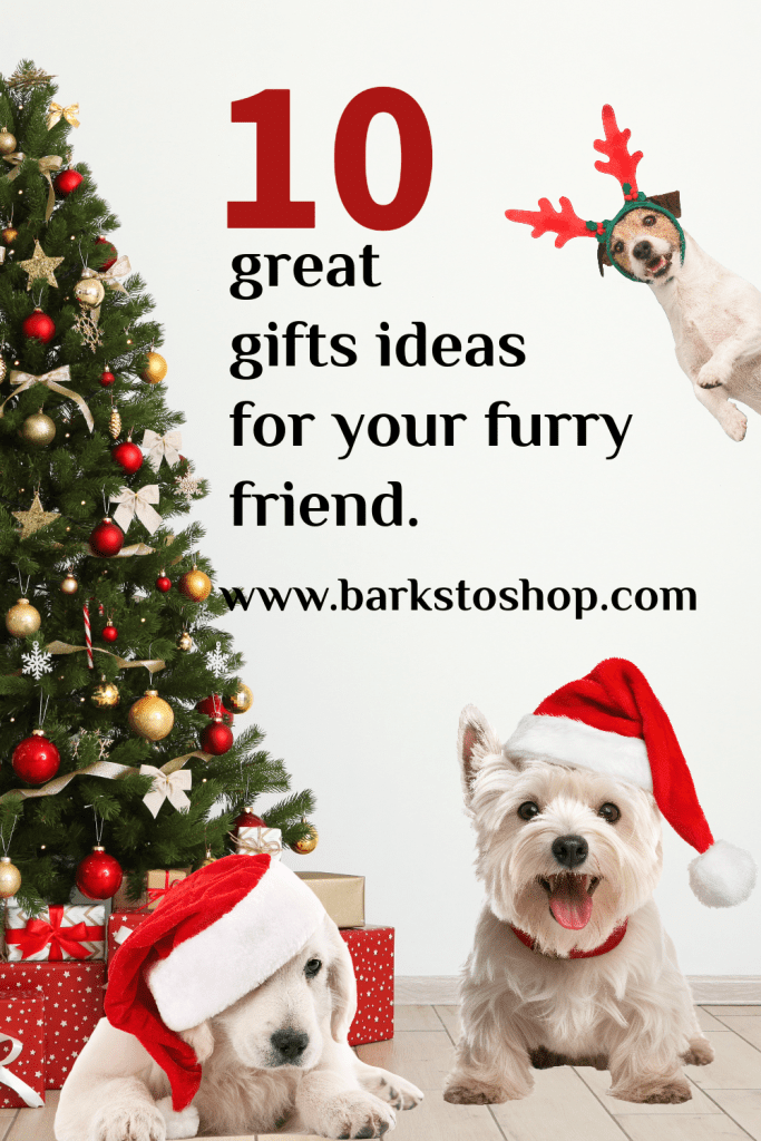 10 great gift ideas for your furry friend. 