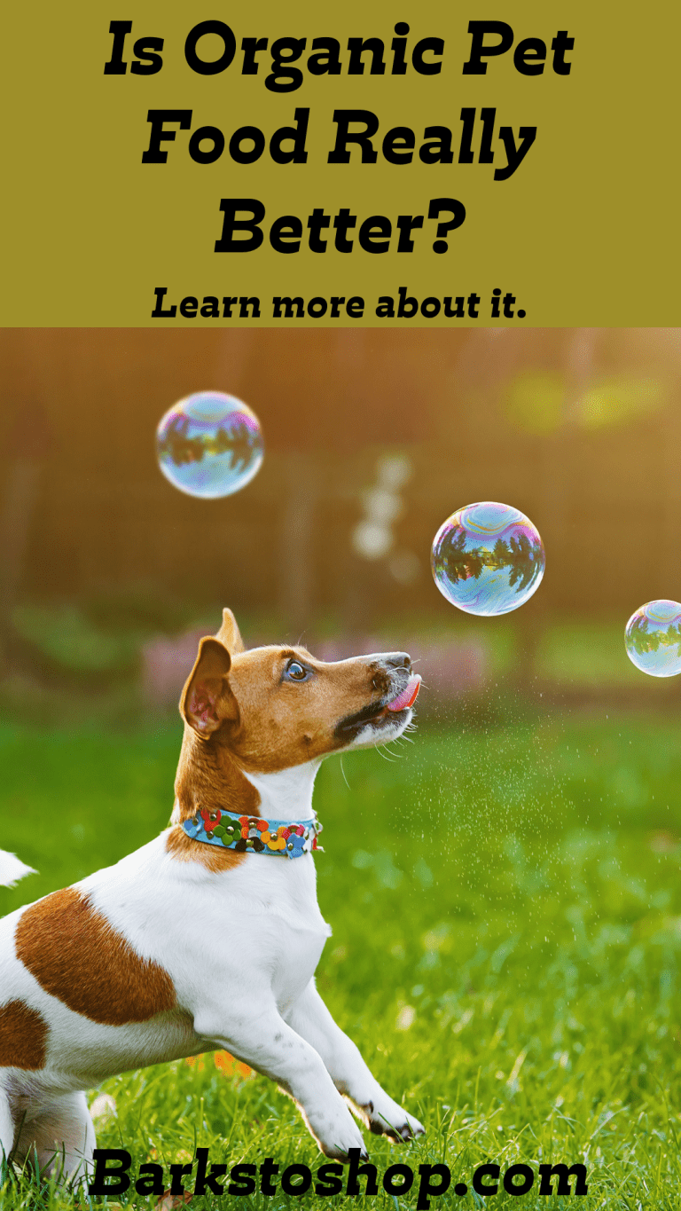 Is Organic Pet Food Really Better for My Dog? - BarksToShop - Organic Pet Food Phytosterols